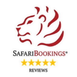 SafariBookings