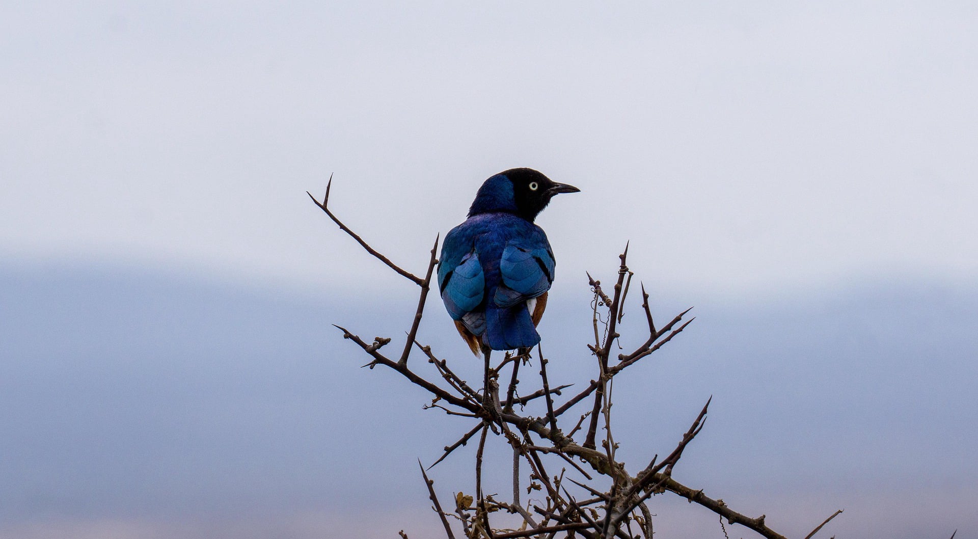 Burigi National Park