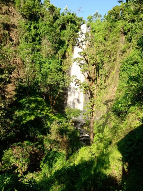 Materuni Waterfall and Coffee Tour
