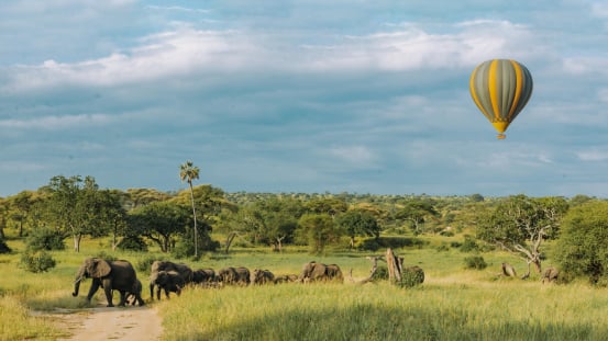 5 Days Tanzania Safari — Tarangire and Serengeti